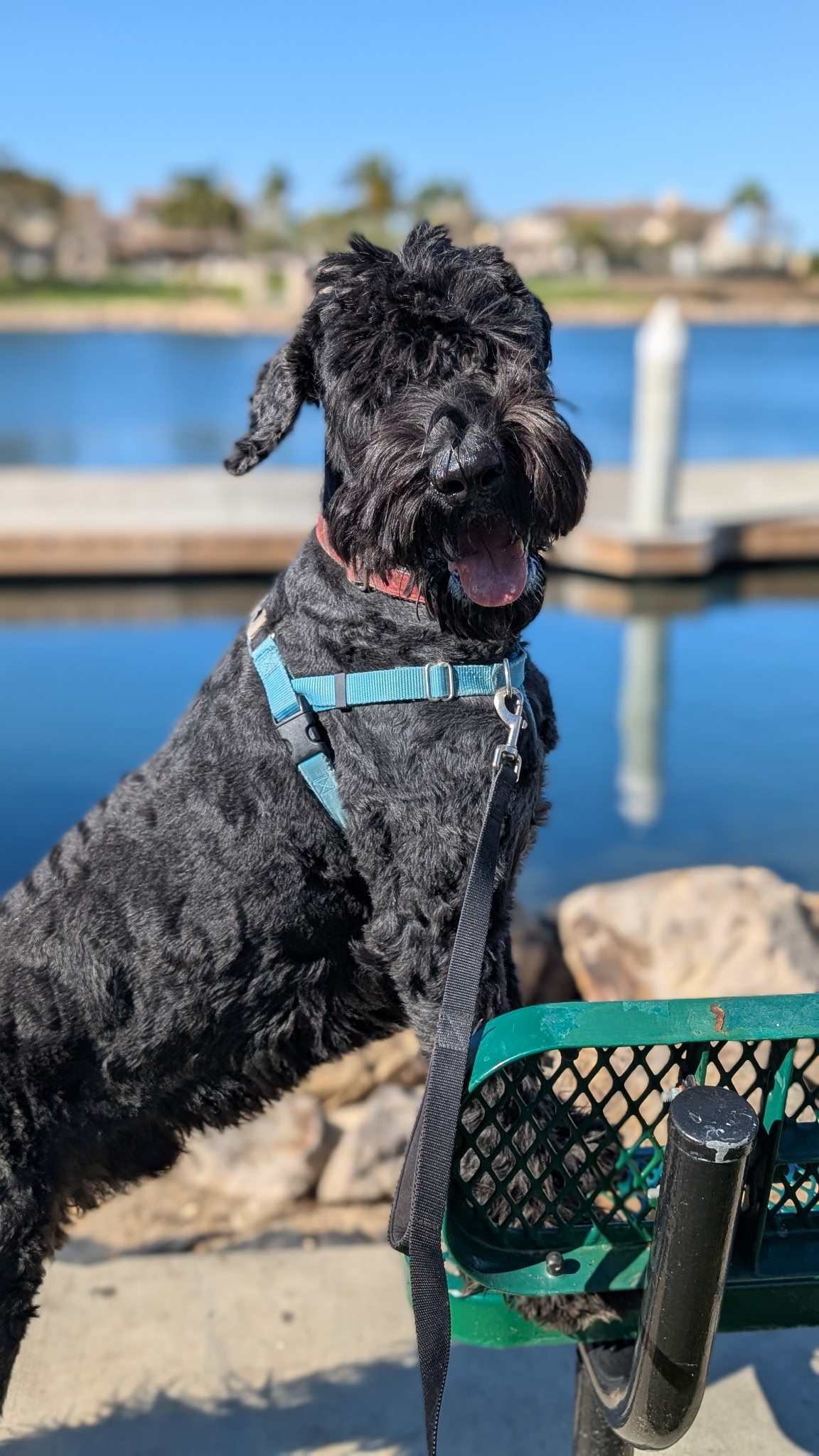 Outdoor Family Members